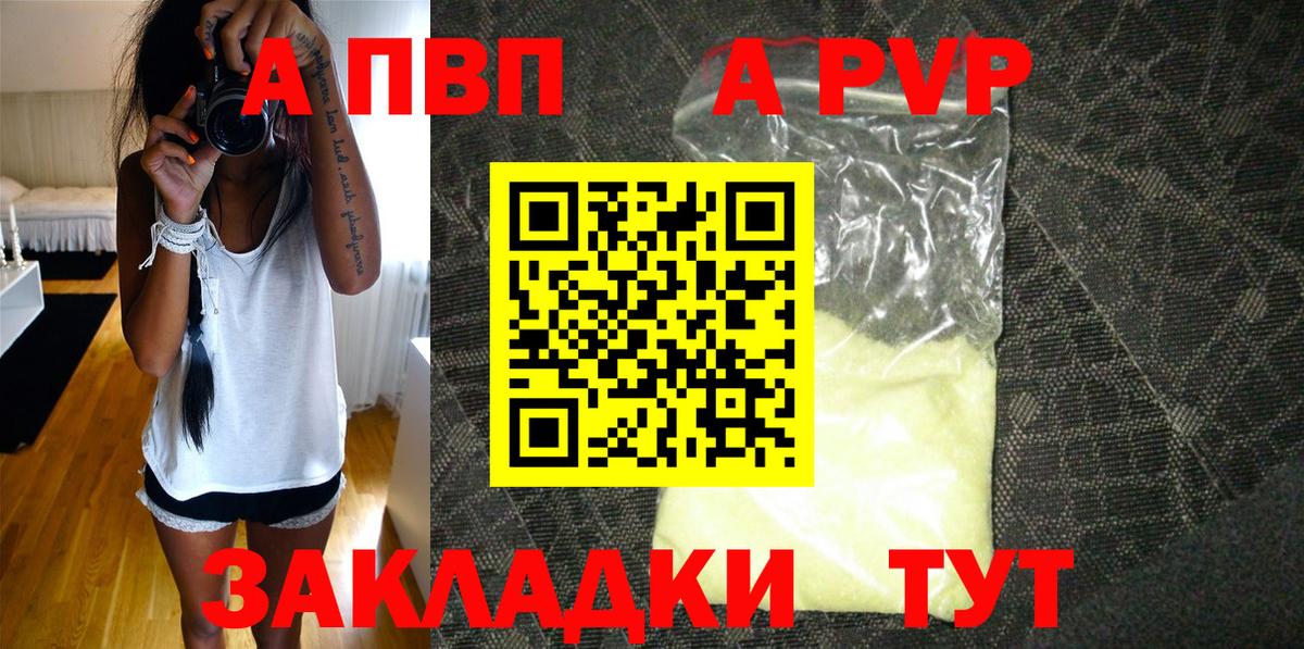 Alfa_PVP СК Тара